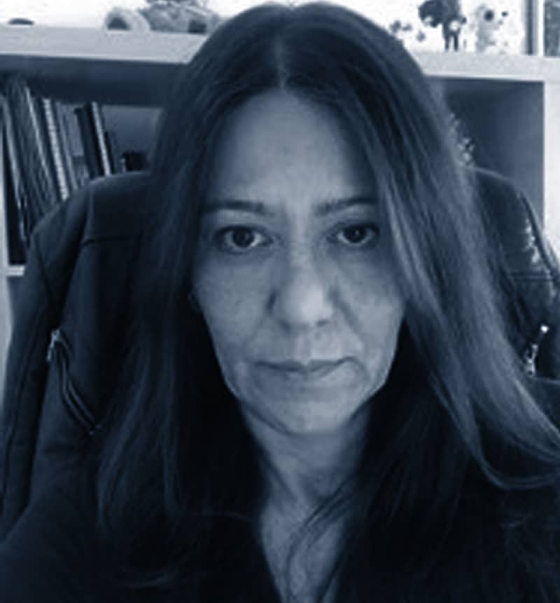 Prof. Dr. Ebru Akçapınar Sezer